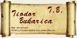 Tiodor Bukarica vizit kartica